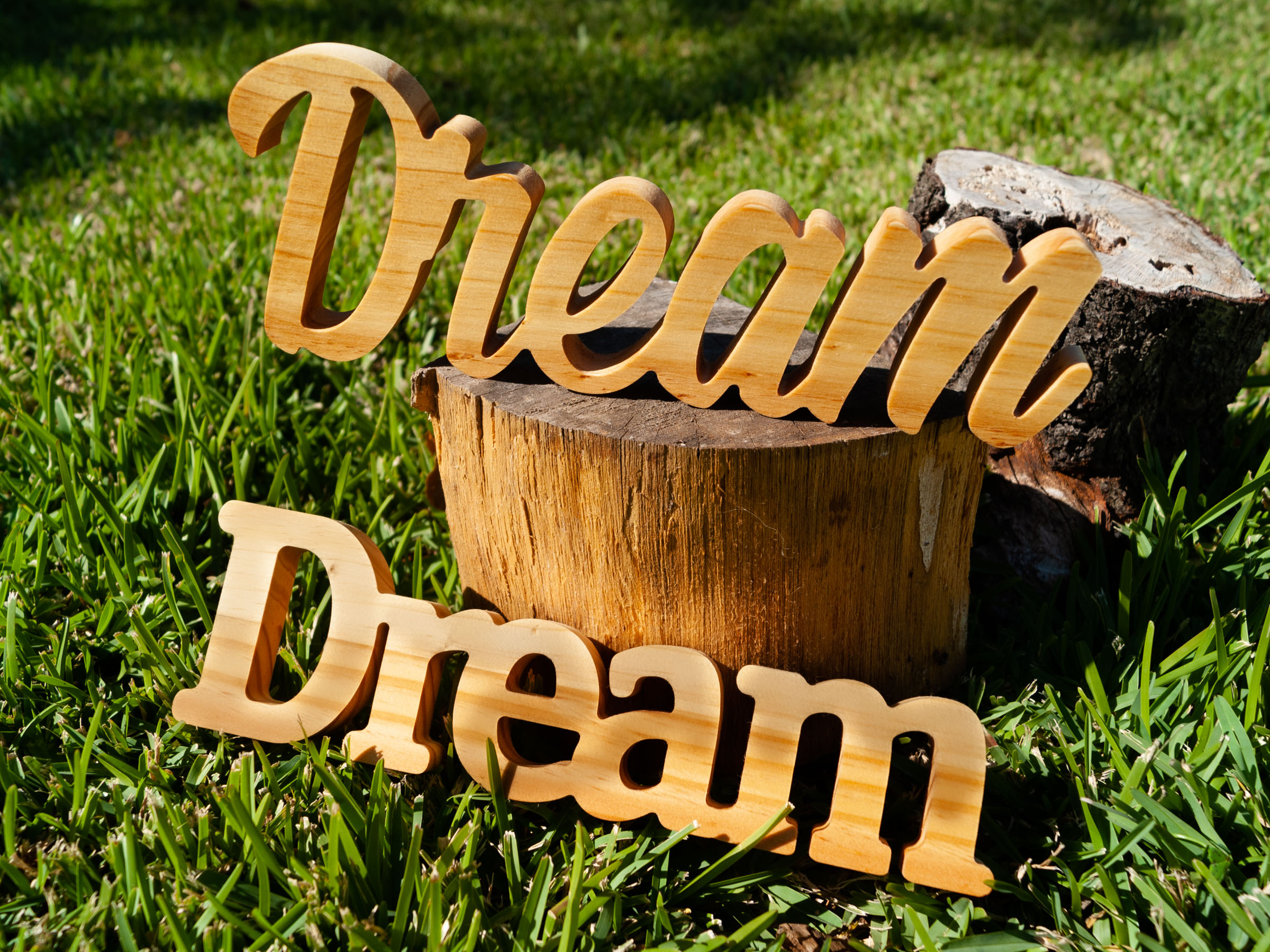 "Dream" em madeira de pinho