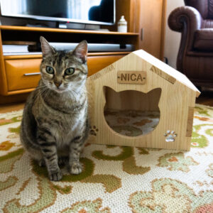 Casa para gato com nome personalizado