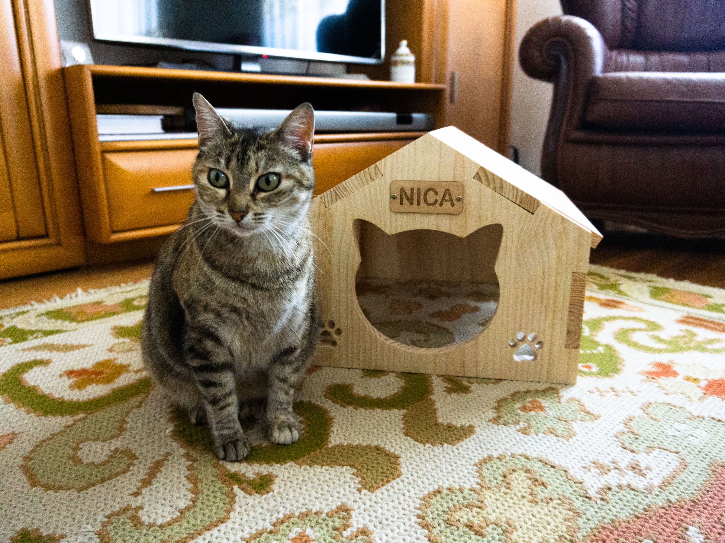 Casa para gato com nome personalizado