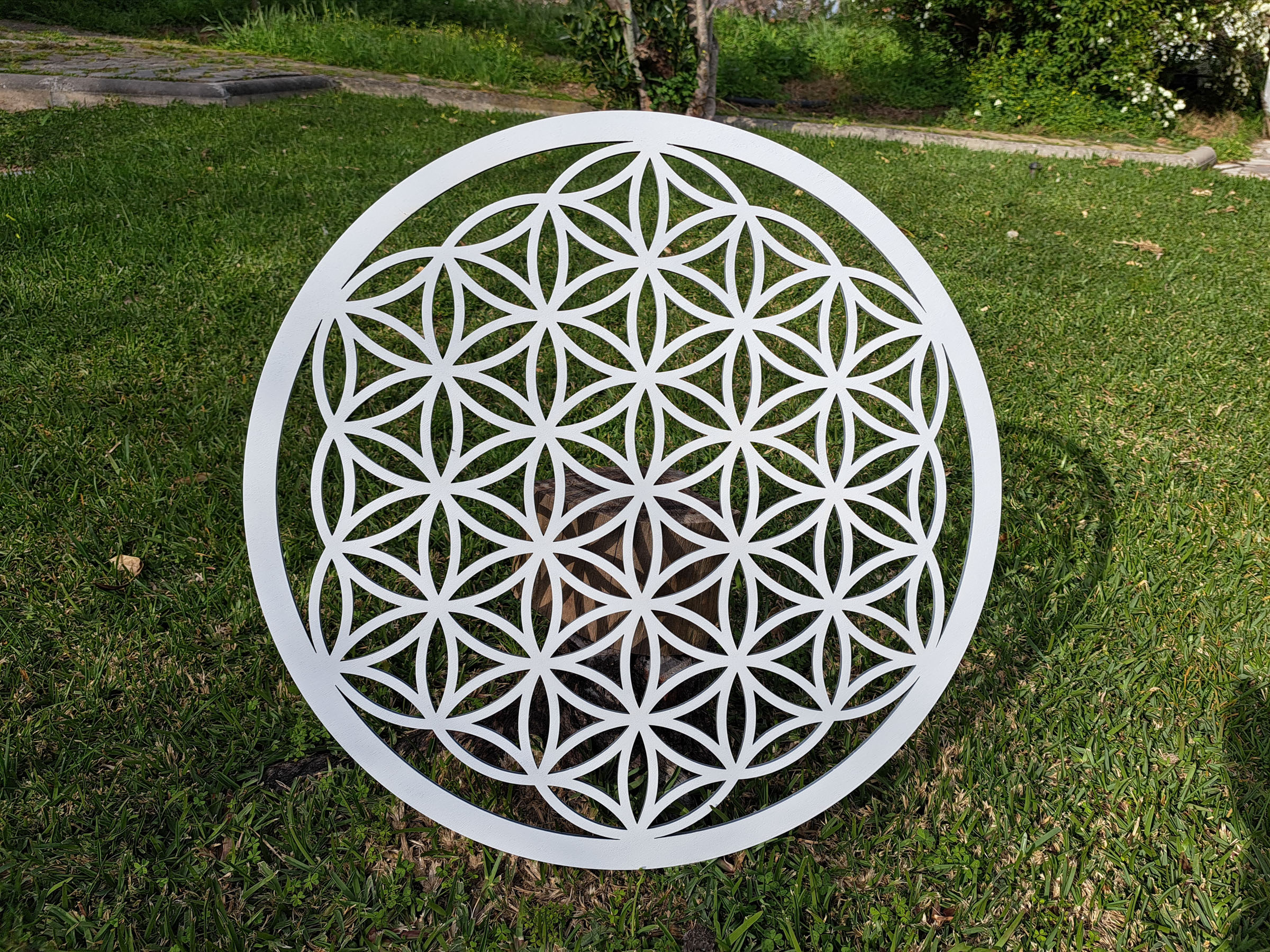 Flor da Vida